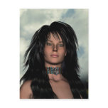 Native Americans Postcard