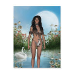 Native Americans Postcard