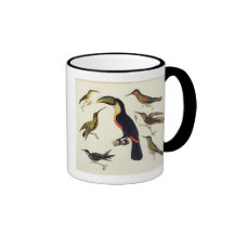 Native birds, including the Toucan (centre), Amazo Coffee Mug
