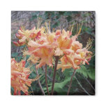 Native Flame Azalea Refrigerator Magnet