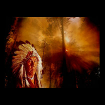 native night posters