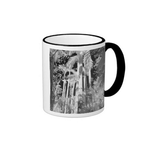 Native Royal Palms in Fakahatchee Strand, Coffee Mugs