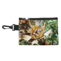 Native seed pods on dead bush accessory bags