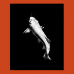 aquatic, fingerling, fish, fishing, lake, nature,