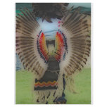 'Native War Wings' flyers