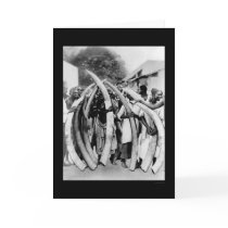 Natives with Ivory Tusks in Dar Es Salaam 1885 cards
