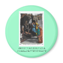 nativity, JESUS WAS BORN IN A STABLE ENVIRONMENT magnets
