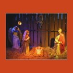 nativity scene, nativity, christmas, holiday,
