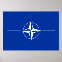 Nato Flag Print