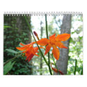 Natrue Calendar
