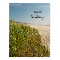 Natural Beach Wedding Save the Date Postcard
