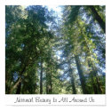Natural Beauty Is All Around Us print