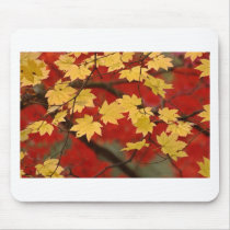 Natural Beauty Mouse Mats Mousepad