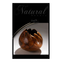 NATURAL BEAUTY posters