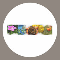 Natural Beauty stickers