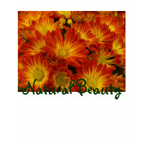 Natural Beauty t-shirts