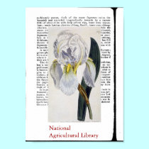 Natural Botanical Print Two