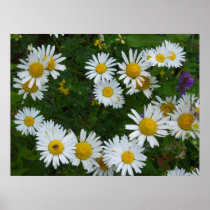 Natural Bouquet  Of Daisies With Bee Print