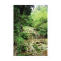 Natural Bridge, VA posters