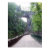 card, virginia, vacation, nature, natural, bridge,