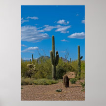 Natural Cactus Landscape 3994 Posters