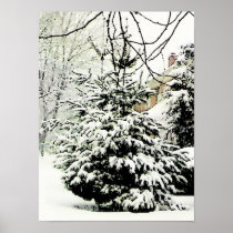 Natural Christmas Tree Poster posters