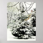 Natural Christmas Tree Poster