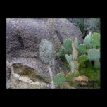 Natural "Clown" Rock In Congress, Arizona posters