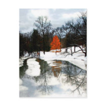 Natural Decoration postcards by valleyvisions Natural Decoration postcards
