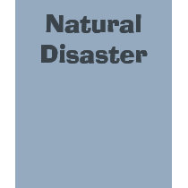 Natural Disaster Tee Shirt