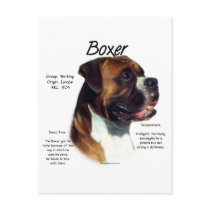 Natural Ear Boxer Meet the Breed Postcards