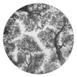 Natural Fit (tree tops) Plates
