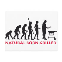 Natural fount Griller 2C Post Card