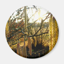 Natural Glow Fridge Magnets