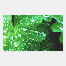 natural  Green leaf leaves Trees Earth Beautiful D Sticker