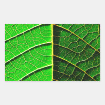 natural  Green leaf leaves Trees Earth Beautiful D Rectangle Stickers