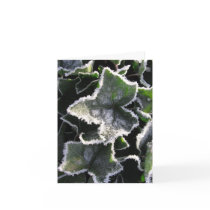 Natural Healing card by poetphoto Natural Healing card