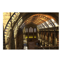 Natural History Museum posters