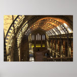 Natural History Museum Posters