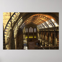 Natural History Museum Posters