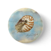 Natural History Nautilus buttons