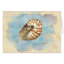 Natural History Nautilus cards