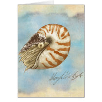 Natural History Nautilus cards