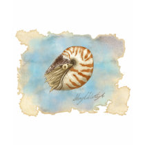 Natural History Nautilus t-shirts