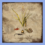 Natural History posters