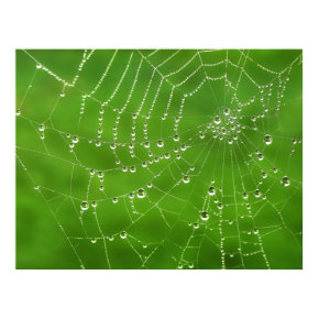 Natural Jewels - poster print