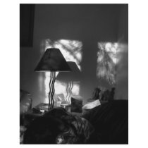 Natural Light letterhead