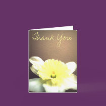 Natural Light, Thank You cards