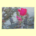 Natural Rose Kitchen Towel kitchen towels