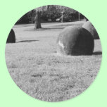 Natural Round Boulders stickers